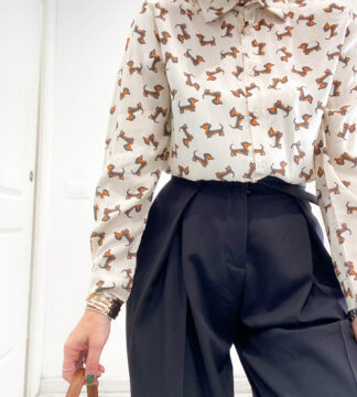 Camicia bassotti
